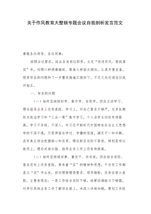 关于作风教育大整顿专题会议自我剖析发言范文.docx