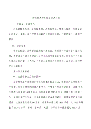 加快推进村庄规划行动计划.docx