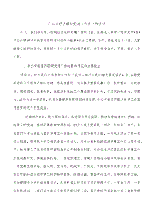 在非公经济组织党建工作会上的讲话.docx