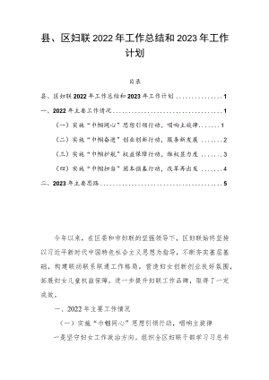 县、区妇联2022年工作总结和2023年工作计划.docx