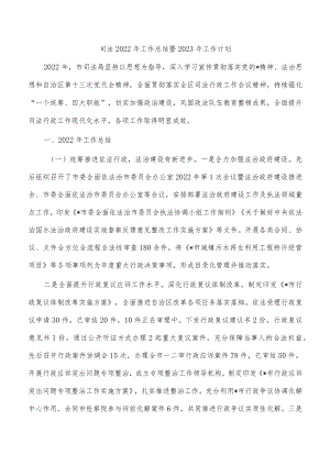 司法2022年工作总结暨2023年工作计划.docx