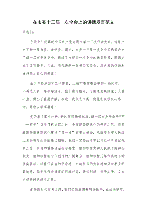 在市委十三届一次全会上的讲话发言范文.docx