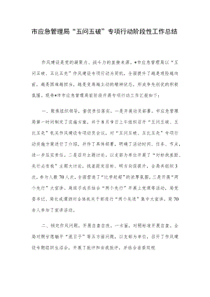 市应急管理局“五问五破”专项行动阶段性工作总结.docx