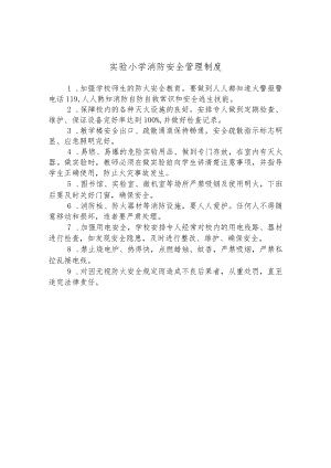 实验小学消防安全管理制度.docx
