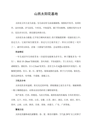 山西太阳花基地.docx