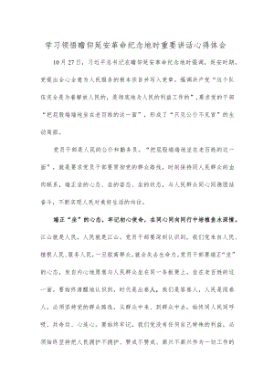 学习领悟瞻仰延安革命纪念地时重要讲话心得体会.docx