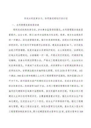 形成水利改革合力协同推进规划行动计划.docx
