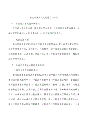 推动中医药文化传播行动计划.docx