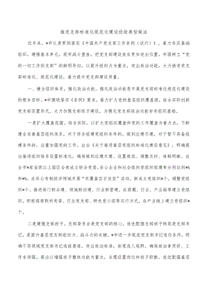 推进支部标准化规范化建设经验典型做法.docx