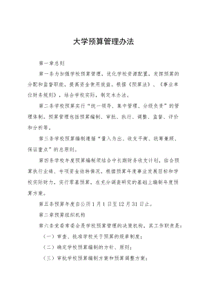 大学预算管理办法.docx