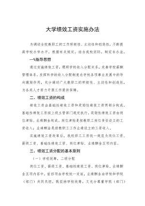 大学绩效工资实施办法.docx