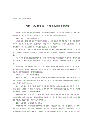 干部队伍建设经验交流材料.docx