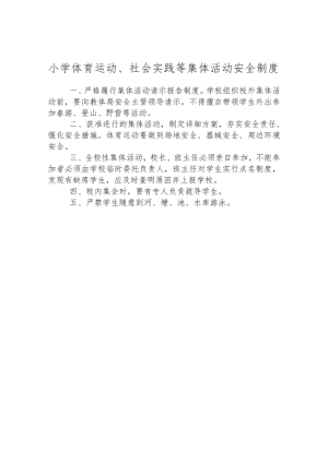 小学体育运动、社会实践等集体活动安全制度.docx