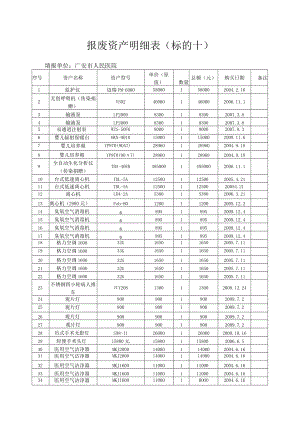 报废资产明细表（标的十）.docx