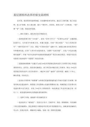 基层团组织改革经验交流材料.docx
