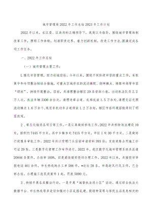 城市管理局2022年工作总结2023年工作计划.docx