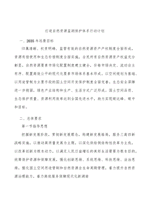打造自然资源监测保护体系行动计划.docx