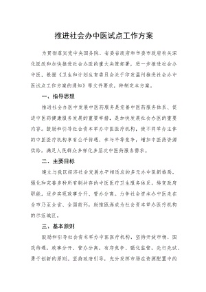 推进社会办中医试点工作方案.docx