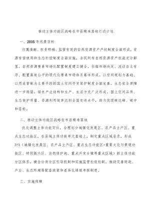 推动主体功能区战略在市县精准落地行动计划.docx