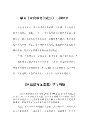 小学老师学习家庭教育促进法心得体会四篇.docx