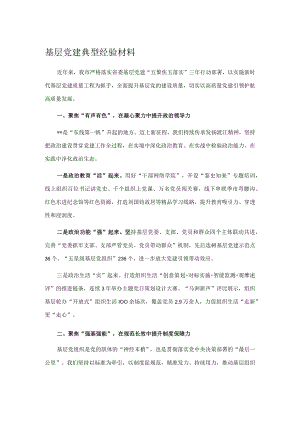 基层党建典型经验材料.docx