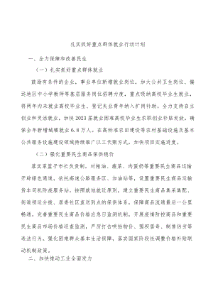 扎实抓好重点群体就业行动计划.docx