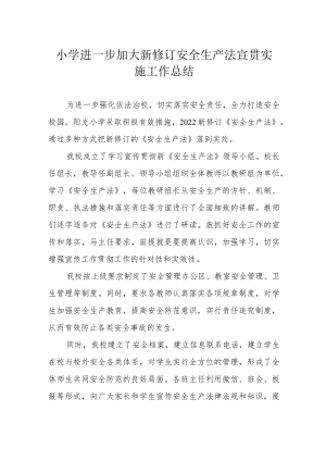 小学进一步加大新修订安全生产法宣贯实施工作总结.docx