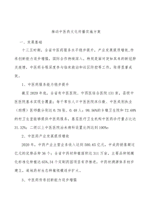 推动中医药文化传播实施方案.docx