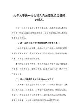 大学关于进一步加强和完善附属单位管理的意见.docx