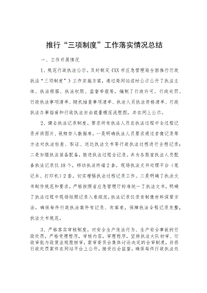 推行“三项制度”工作落实情况总结.docx