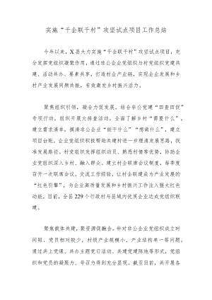 实施“千企联千村”攻坚试点项目工作总结.docx