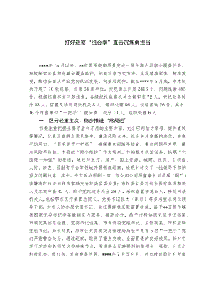 打好巡察“组合拳” 直击沉疴勇担当.docx