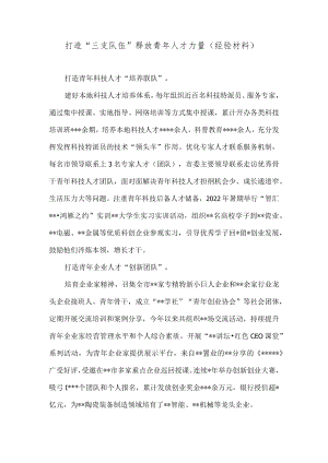 打造“三支队伍”释放青年人才力量（经验材料）.docx