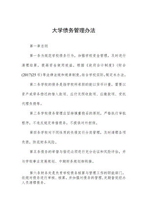 大学债务管理办法.docx