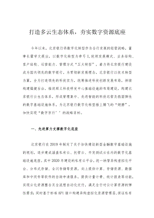 打造多云生态体系夯实数字资源底座.docx