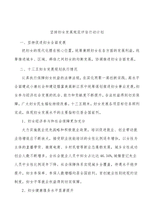 坚持妇女发展规范评估行动计划.docx
