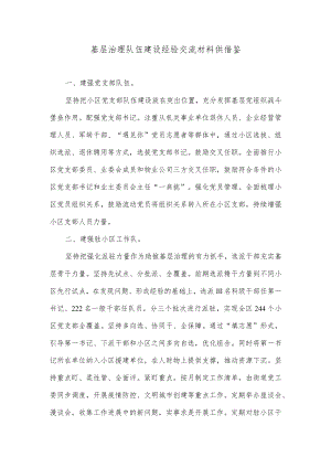 基层治理队伍建设经验交流材料供借鉴.docx