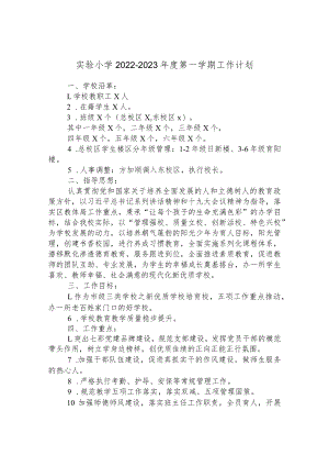 实验小学2022-2023年度第一学期工作计划.docx
