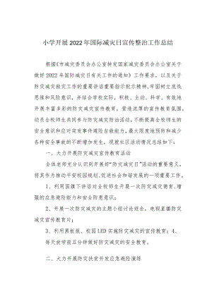 小学开展2022年国际减灾日宣传整治工作总结.docx