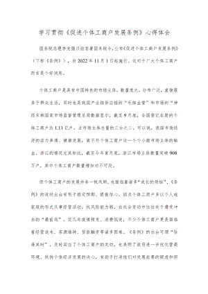学习贯彻《促进个体工商户发展条例》心得体会.docx