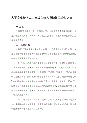 大学专业技术二、三级岗位人员协议工资制方案.docx