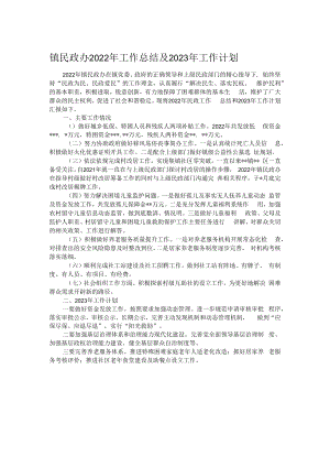 镇民政办2022年工作总结及2023年工作计划.docx