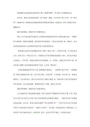 省高级人民法院打造年轻干部“选育管用”全方位工作机制全文.docx
