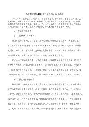 粮食物资储备2022半年安全生产工作总结.docx
