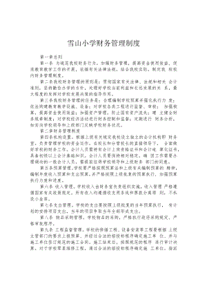 雪山小学财务管理制度.docx