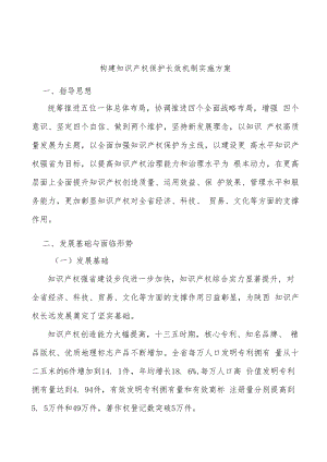 构建知识产权保护长效机制实施方案.docx