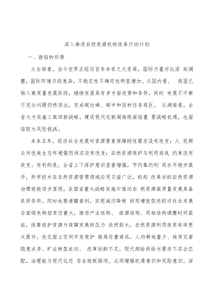 深入推进自然资源机构改革行动计划.docx