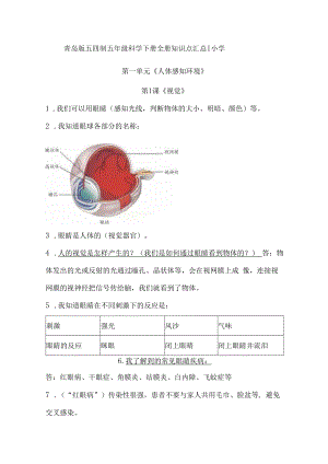 青岛版五四制五年级科学下册全册知识点汇总.docx