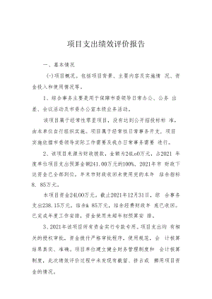 项目支出绩效评价报告.docx
