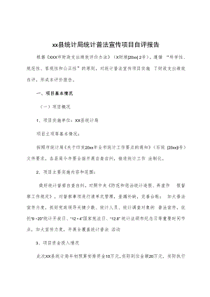 统计普法宣传项目自评报告.docx